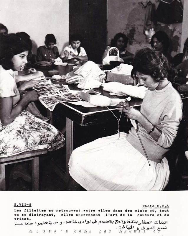 Algerie propagande 099.jpg